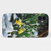Coques Case-Mate iPhone Jaune Daffodils fleurs dans la neige (Dos (Horizontal))