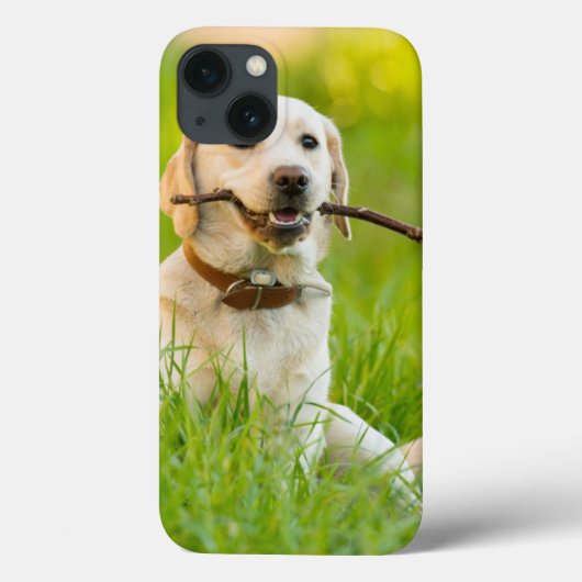 Coques Case-Mate iPhone Jaune Labrador Joue Récupérer Avec Bâton (Verso)