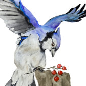 Coques Case-Mate iPhone Jay bleu d'oiseau de la forêt