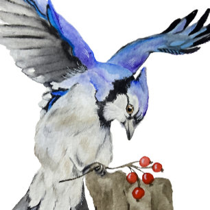 Case-Mate iPhone Case Jay bleu d'oiseau de la forêt