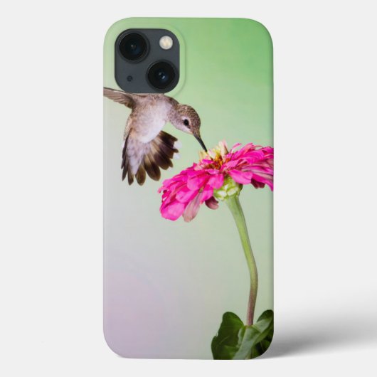 Coques Case-Mate iPhone Jeff le comté de Davis, le Texas (Verso)