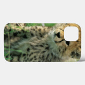 Coques Case-Mate iPhone Jeune guépard flou (Verso (horizontal))
