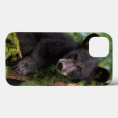 Coques Case-Mate iPhone Jeune ourson noir jouant dans les arbres (Verso (horizontal))