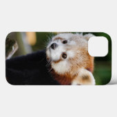 Coques Case-Mate iPhone Jeune Panda roux mignon (Verso (horizontal))