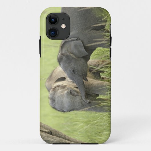 Coques Case-Mate iPhone Jeunes éléphants d'Inde / d'Asie (Dos)