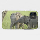 Coques Case-Mate iPhone Jeunes éléphants d'Inde / d'Asie (Dos (Horizontal))
