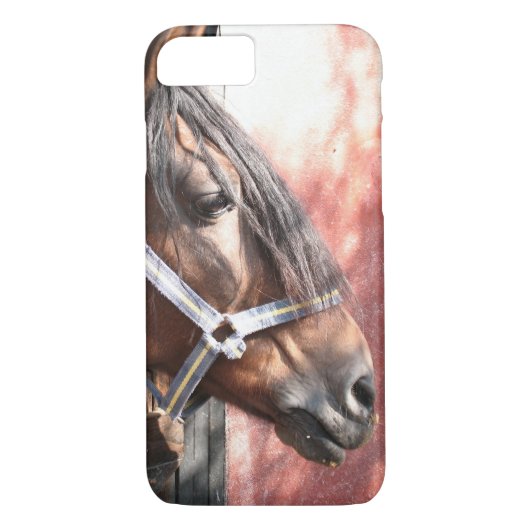 Coques Case-Mate iPhone Joli Cheval de Baie dans un soleil stable (Dos)