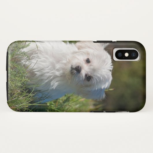 Coques Case-Mate iPhone Joli chiot blanc (Dos (Horizontal))