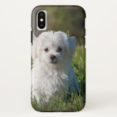 Coques Case-Mate iPhone Joli chiot blanc (Dos)