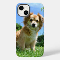 Joli chiot dans une photo de jardin
