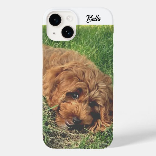 Coques Case-Mate iPhone Joli Golden Doodle (Verso)
