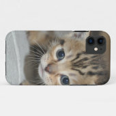 Coques Case-Mate iPhone Joli jeune chaton (Dos (Horizontal))