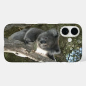 Coques Case-Mate iPhone Joli koala grimpant à un arbre (Verso (horizontal))
