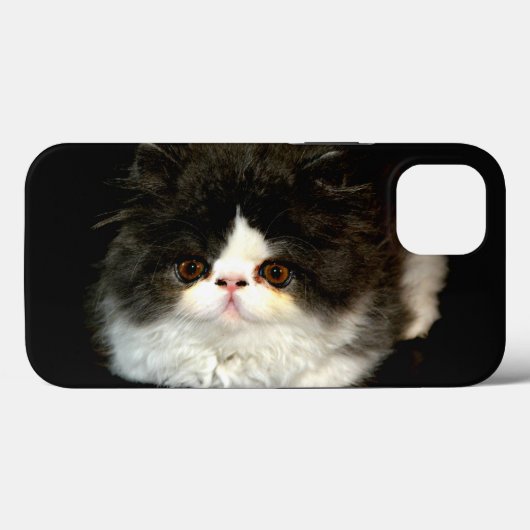 Coques Case-Mate iPhone Joli noir blanc chaton photo (Verso (horizontal))
