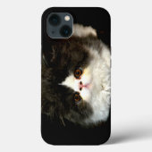 Coques Case-Mate iPhone Joli noir blanc chaton photo (Verso)