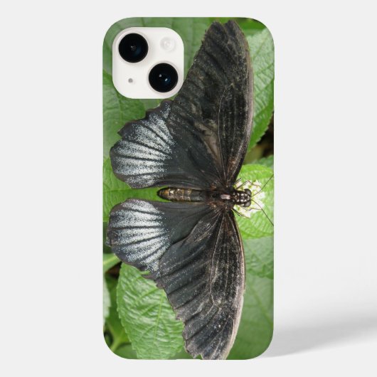 Coques Case-Mate iPhone Joli papillon Tropical et fleurs (Verso)