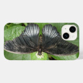 Coques Case-Mate iPhone Joli papillon Tropical et fleurs (Verso (horizontal))