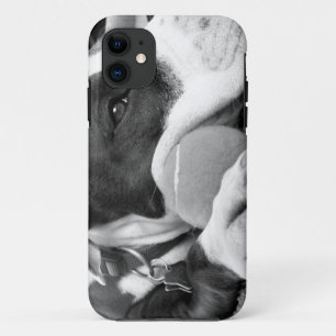 Case-Mate iPhone Case joli pitbull au look triste noir et blanc avec bal