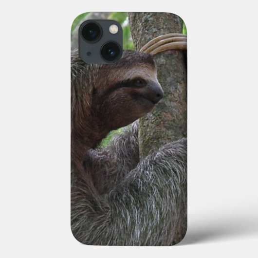 Coques Case-Mate iPhone Jolie Sloth (Verso)