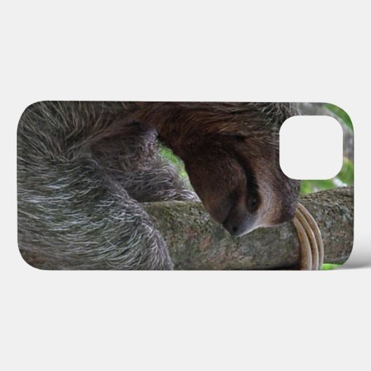 Coques Case-Mate iPhone Jolie Sloth (Verso (horizontal))