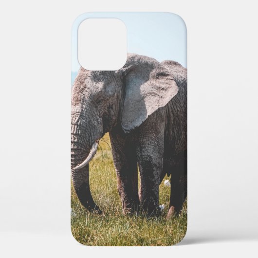 COQUES Case-Mate iPhone JOLIMENT ÉLÉPHANT (Verso)