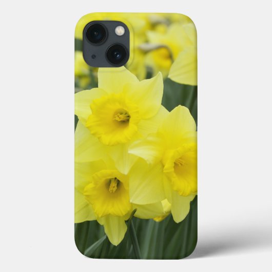 Coques Case-Mate iPhone Jonquilles RF) (Verso)
