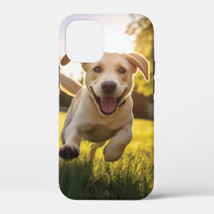 Case-Mate iPhone Case Joyeux Labrador Puppy Running