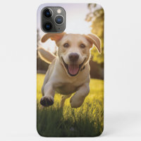 Joyeux Labrador Puppy Running