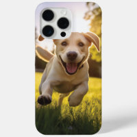 Joyeux Labrador Puppy Running