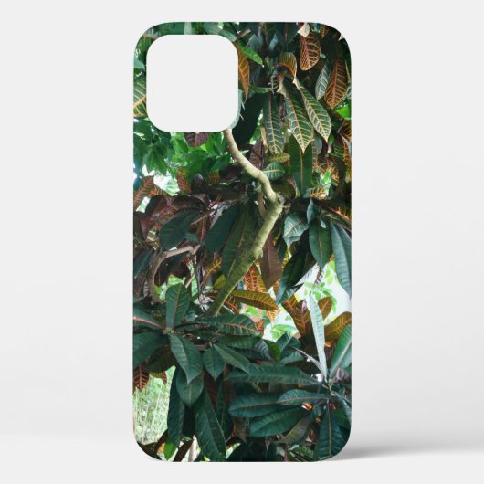 Coques Case-Mate iPhone Jungle tropicale verte (Verso)