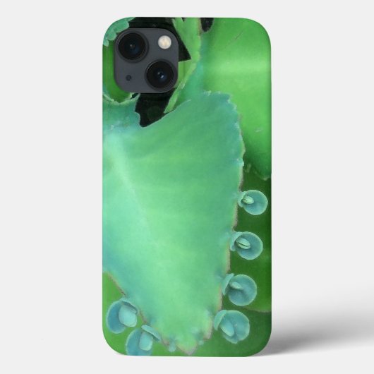 Coques Case-Mate iPhone Kalanchoe (Verso)