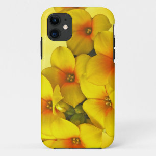 Coques Pour iPhone Kalanchoe Jaune - Soleil Succulent