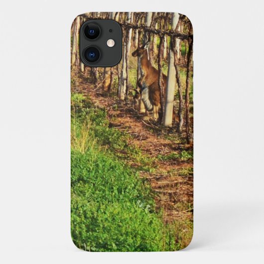 Coques Case-Mate iPhone Kangaroo Et Joey Dans Les Vignes De Raisins, (Dos)