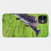 Coques Case-Mate iPhone Kangaroos australiens gris-sauvage, (Dos (Horizontal))