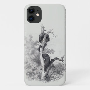 Case-Mate iPhone Case Karl Bodmer - Les Ours