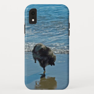 Case-Mate iPhone Case Keeshond Ballet Photographie - Joli chien d'origin