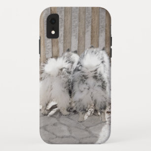 Case-Mate iPhone Case Keeshonds at the Gate Painting - Original Dog Art