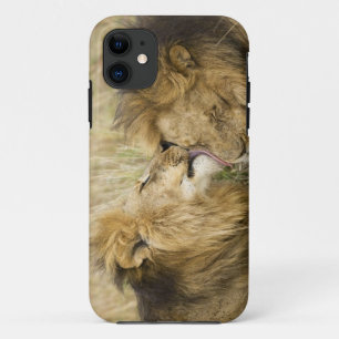 Coques Pour iPhone Kenya, Masai Mara