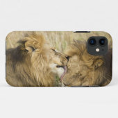 Coques Case-Mate iPhone Kenya, Masai Mara (Dos (Horizontal))