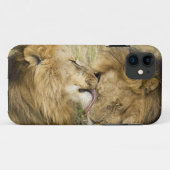 Coques Case-Mate iPhone Kenya, Masai Mara (Dos (Horizontal))