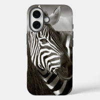Kenya. Noir et blanc de zèbre et plaine.