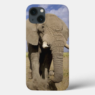 Coques Pour iPhone Kenya : parc national d'Amboseli, éléphant mâle
