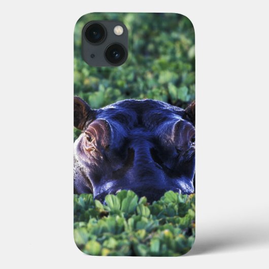 Coques Case-Mate iPhone Kenya, réserve nationale du Masai Mara. (Verso)