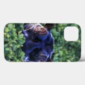 Coques Case-Mate iPhone Kenya, réserve nationale du Masai Mara. (Verso (horizontal))