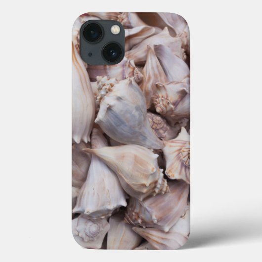 Coques Case-Mate iPhone Key West, coquillages (Verso)