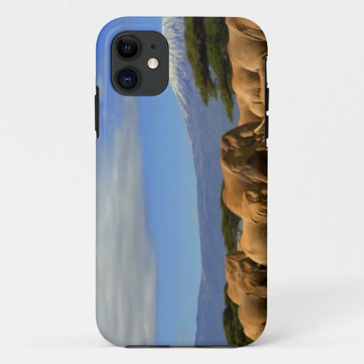 Coques Case-Mate iPhone Kilimanjaro et éléphants (Dos)