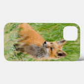 Coques Case-Mate iPhone Kit de Fox rouge dans l'herbe près du repaire (Verso (horizontal))