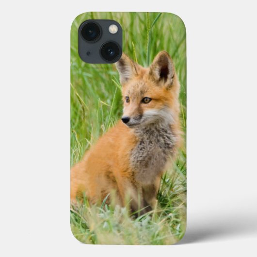 Coques Case-Mate iPhone Kit de Fox rouge dans l'herbe près du repaire (Verso)