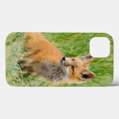 Coques Case-Mate iPhone Kit de Fox rouge dans l'herbe près du repaire (Verso (horizontal))