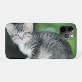Coques Case-Mate iPhone Kitten (Dos (Horizontal))